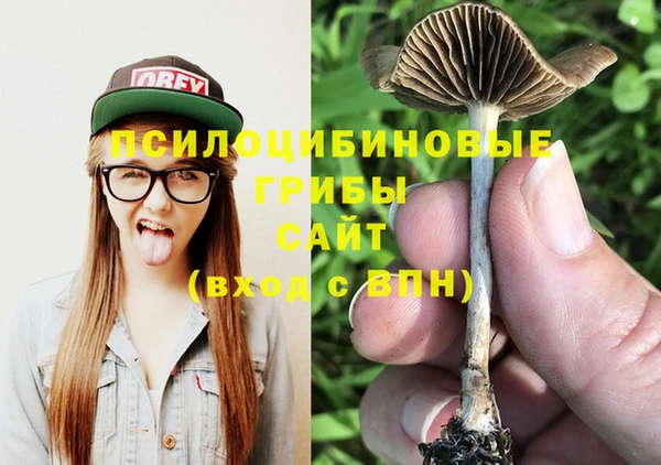 ГАЛЛЮЦИНОГЕННЫЕ ГРИБЫ Бугульма