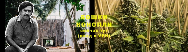 ГАЛЛЮЦИНОГЕННЫЕ ГРИБЫ Бугульма