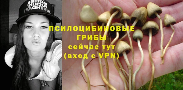ГАЛЛЮЦИНОГЕННЫЕ ГРИБЫ Бугульма