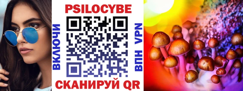 Псилоцибиновые грибы мицелий  Купить  Болгар 